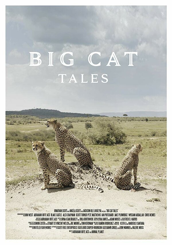 Постер сериала Big Cat Tales
