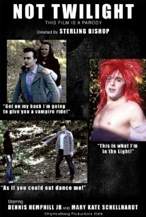 Постер фильма Not Twilight