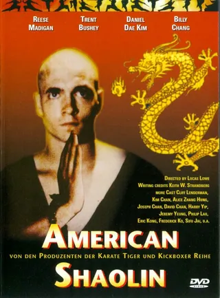 Постер Американский Шаолинь (1991)