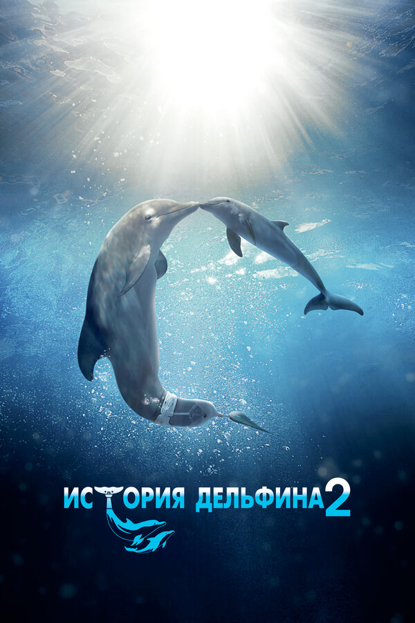 Постер фильма История дельфина 2