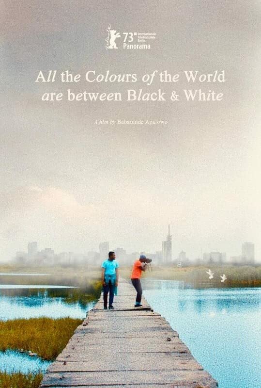 Постер фильма All the Colours of the World Are Between Black and White