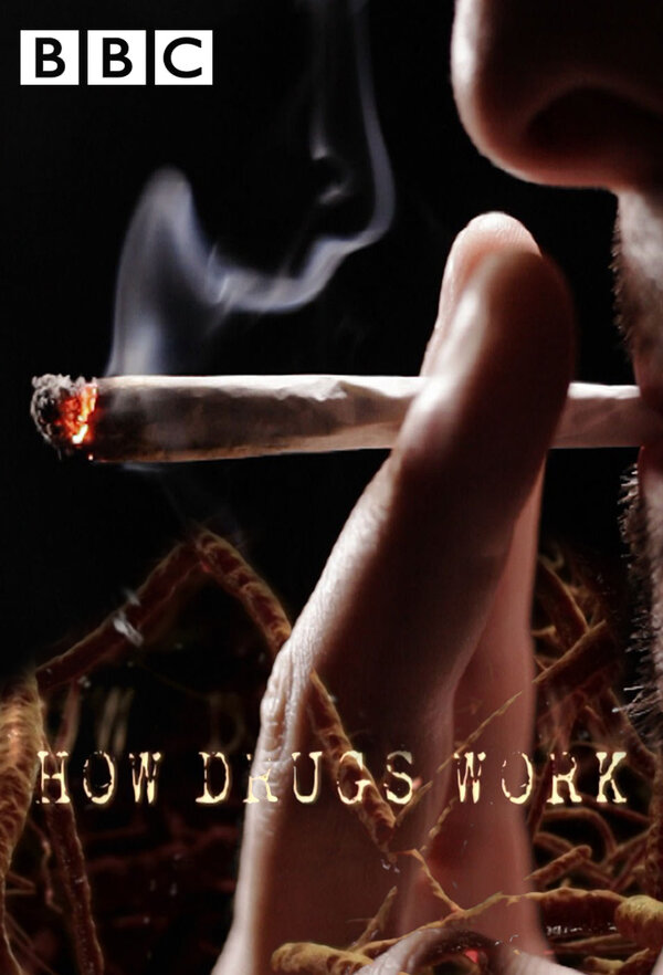 Постер сериала How Drugs Work