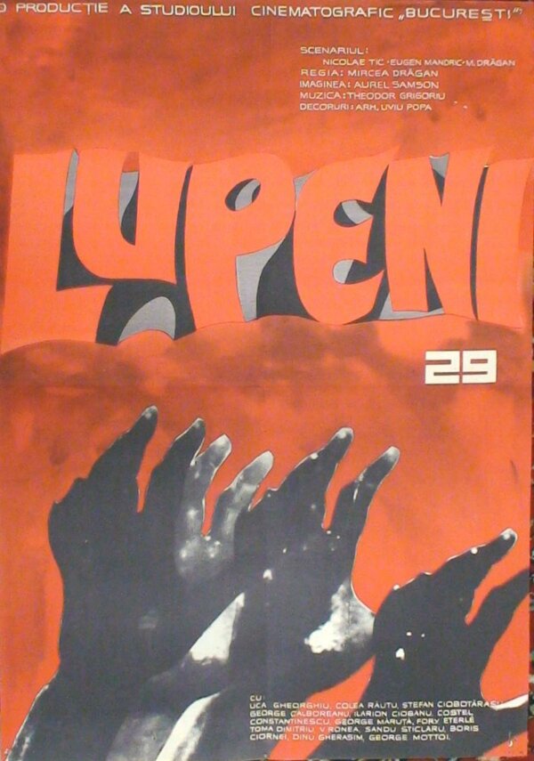 Постер фильма Лупень, 29