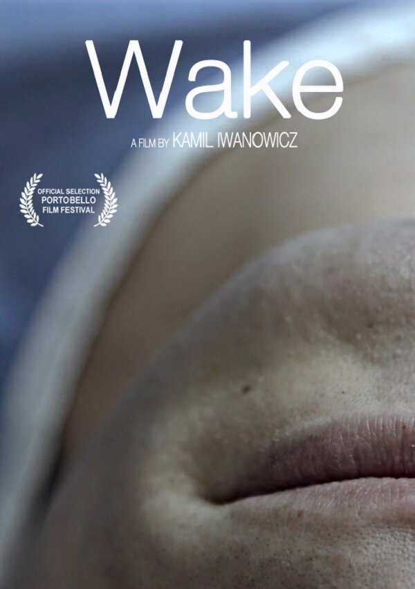 Постер фильма Wake