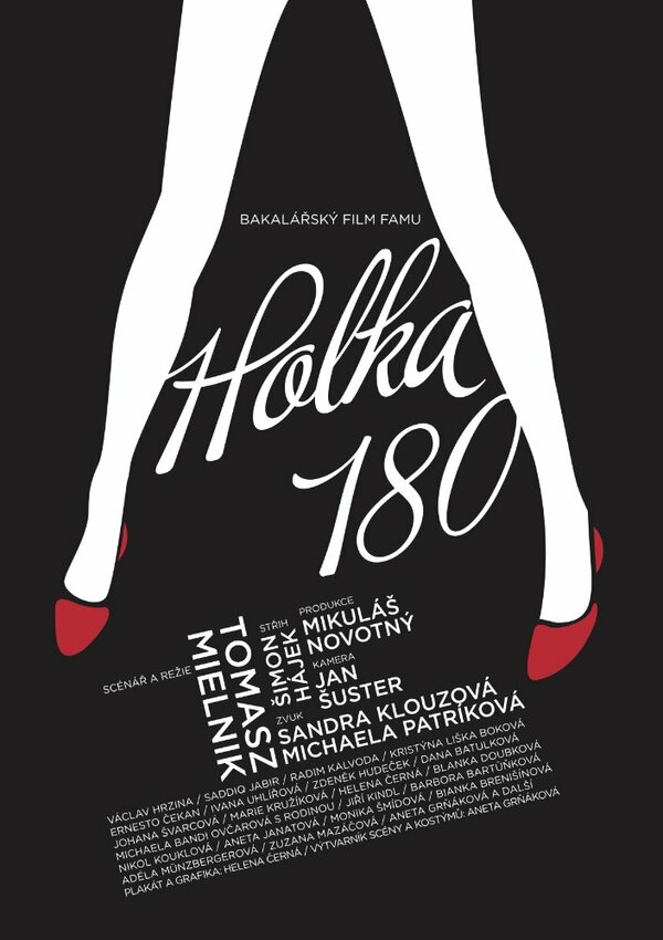 Постер фильма Holka 180