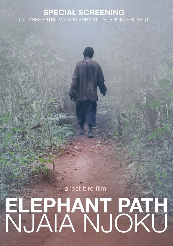 Постер фильма Elephant Path/Njaia Njoku