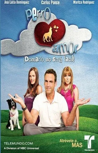 Постер Проклятая любовь (2010)