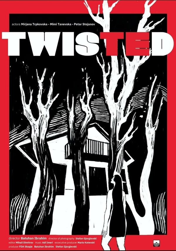 Постер фильма Twisted