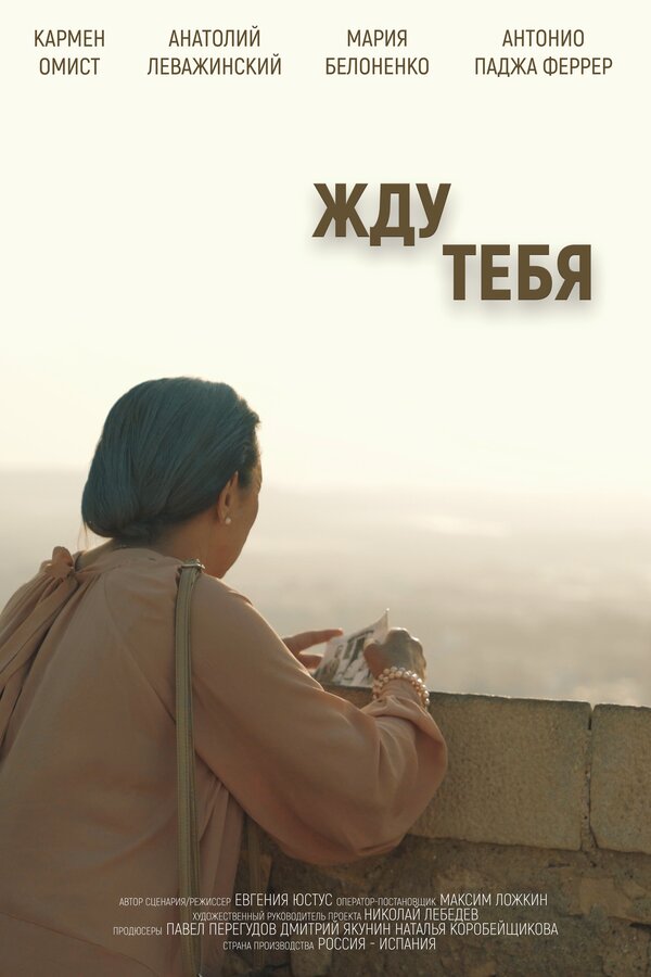 Постер фильма Жду тебя
