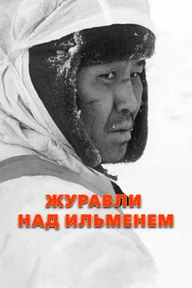 Журавли над Ильменем