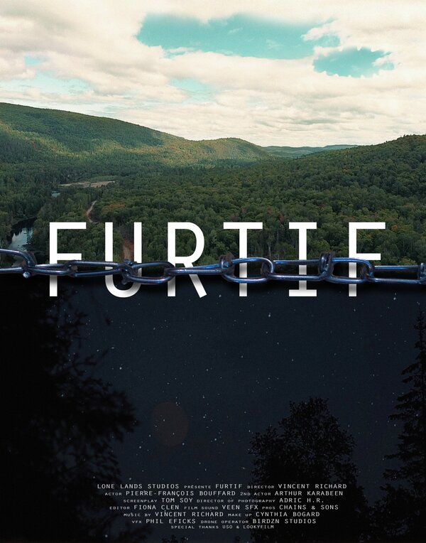 Постер фильма Furtif