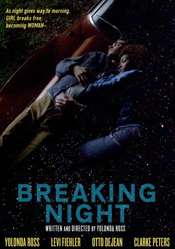 Постер фильма Breaking Night