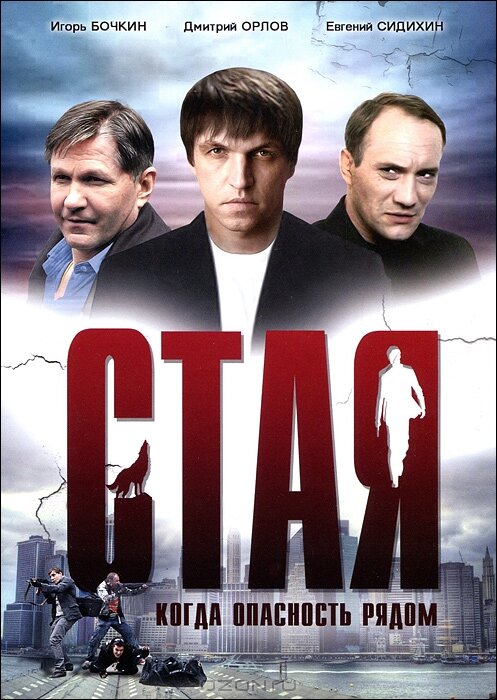 Постер фильма Стая