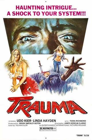 Постер Дом на соломенном холме (1976)