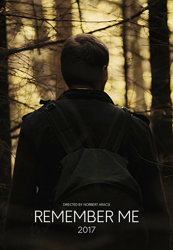 Постер фильма Remember Me