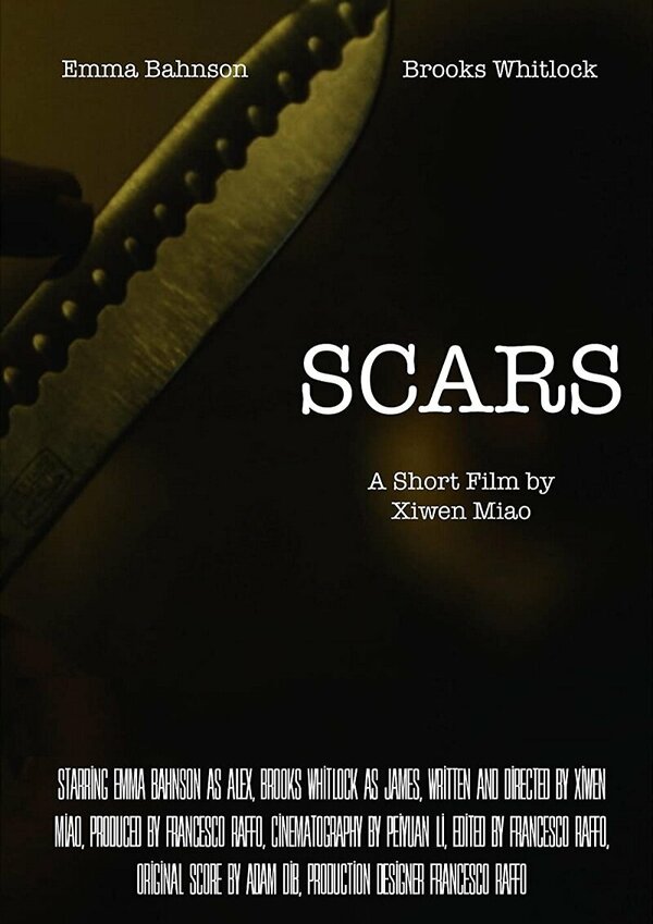 Постер фильма Scars