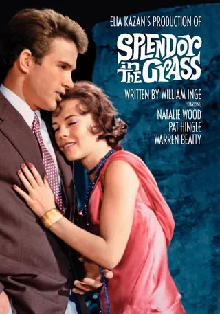 Постер Великолепие в траве (1961)