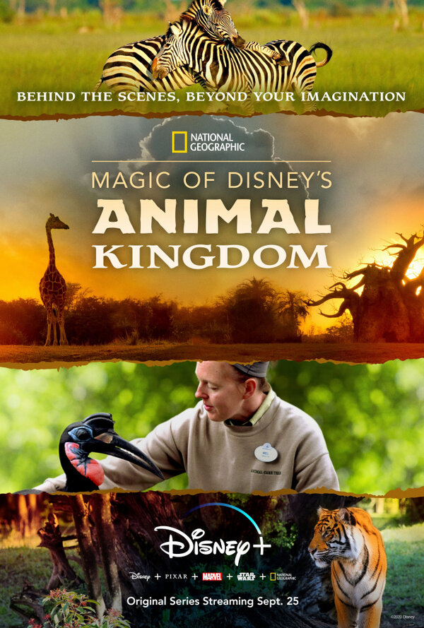 Постер сериала Magic of Disney's Animal Kingdom