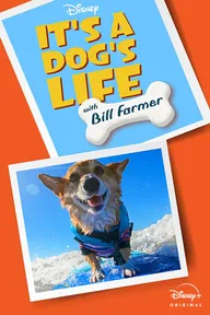 It's A Dog's Life