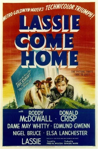 Постер Лесси возвращается домой (1943)