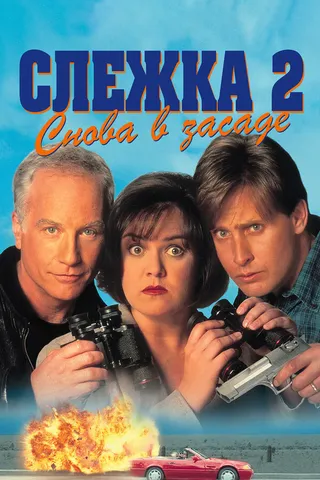 Постер Слежка 2: Снова в засаде (1993)