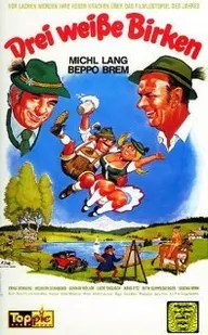 Drei weiße Birken