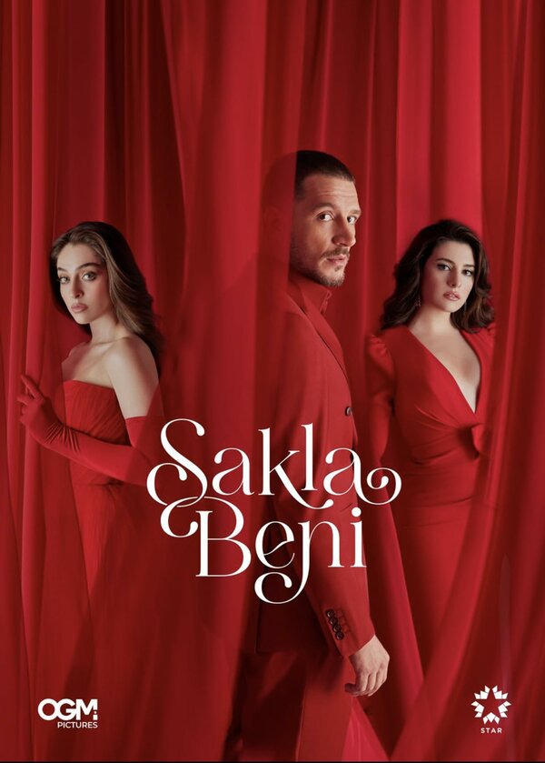 Постер сериала Спрячь меня