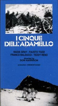 I cinque dell'Adamello