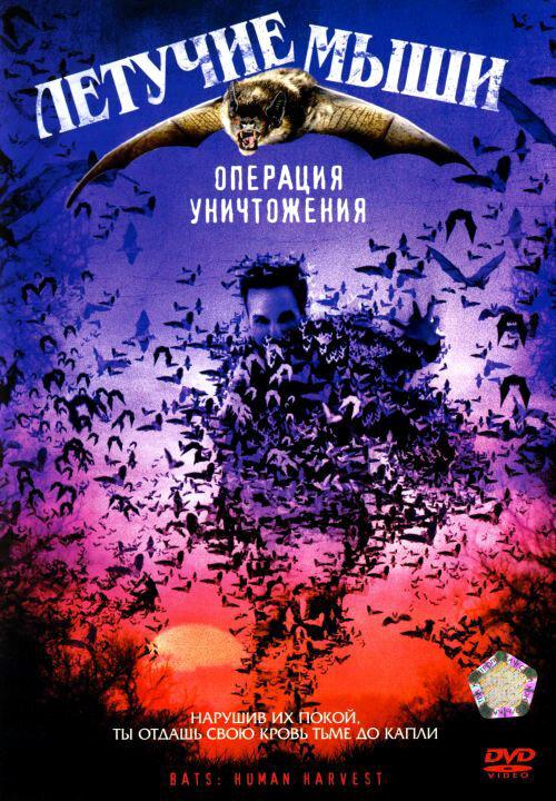 Постер фильма Летучие мыши: Операция уничтожения