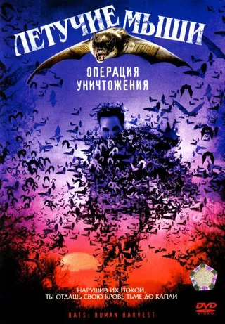 Постер Летучие мыши: Операция уничтожения (2007)