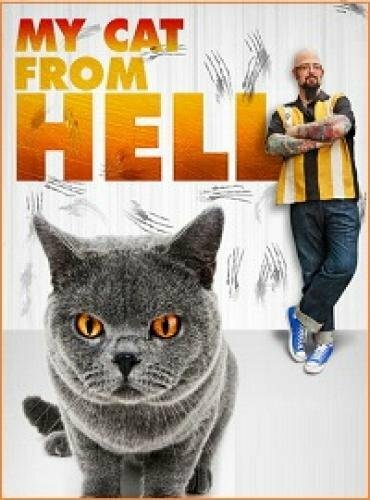 Постер сериала Адская кошка