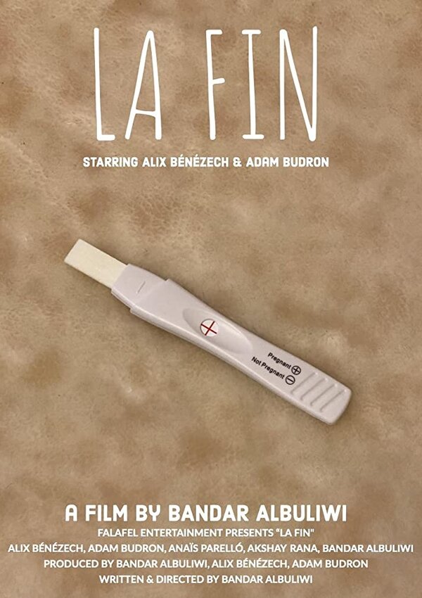 Постер фильма La fin