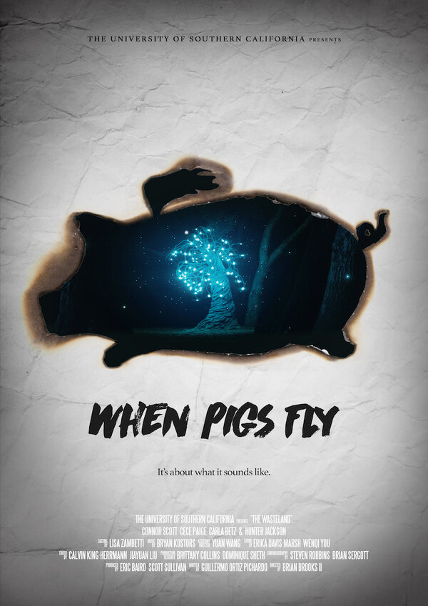 Постер фильма When Pigs Fly