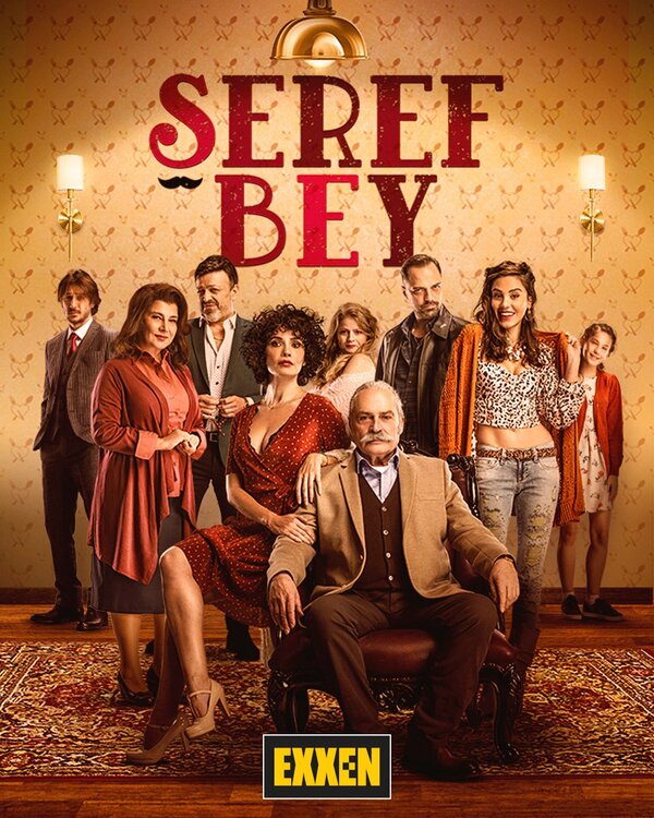 Постер сериала Уважаемый господин