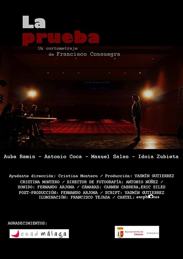 Постер фильма La prueba