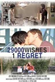 29000 желаний, 1 сожаление