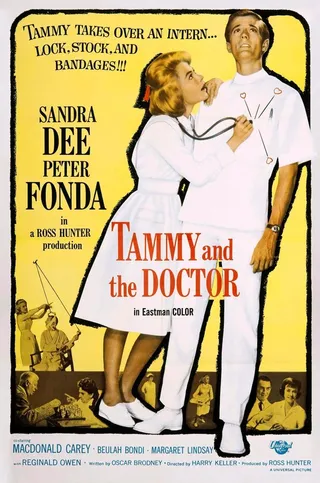 Постер Тэмми и доктор (1963)