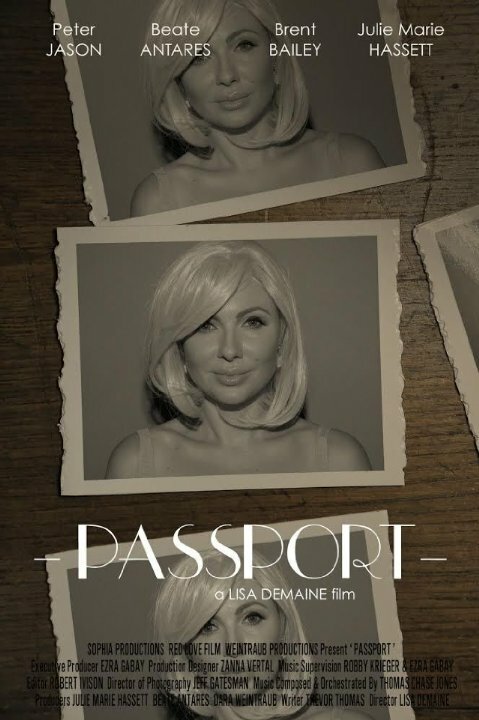 Постер фильма Passport