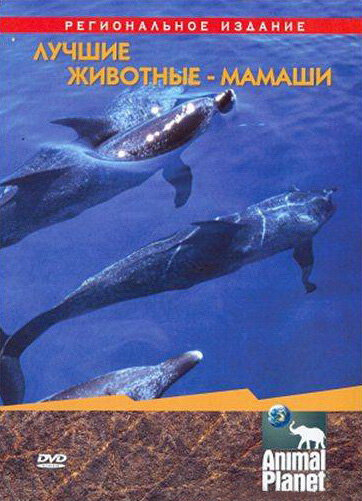Постер фильма Animal Planet. Лучшие животные-мамаши