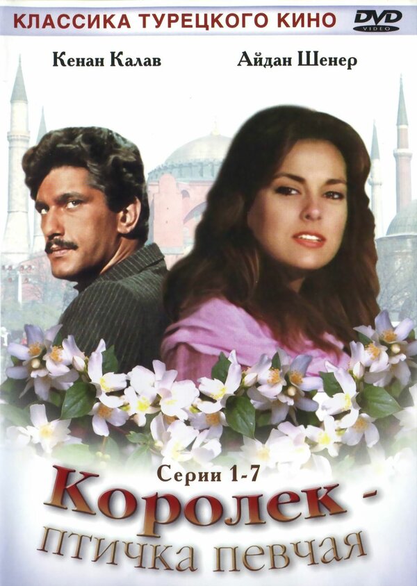 Постер Королёк – птичка певчая