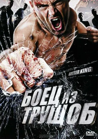 Постер Боец из трущоб (2010)