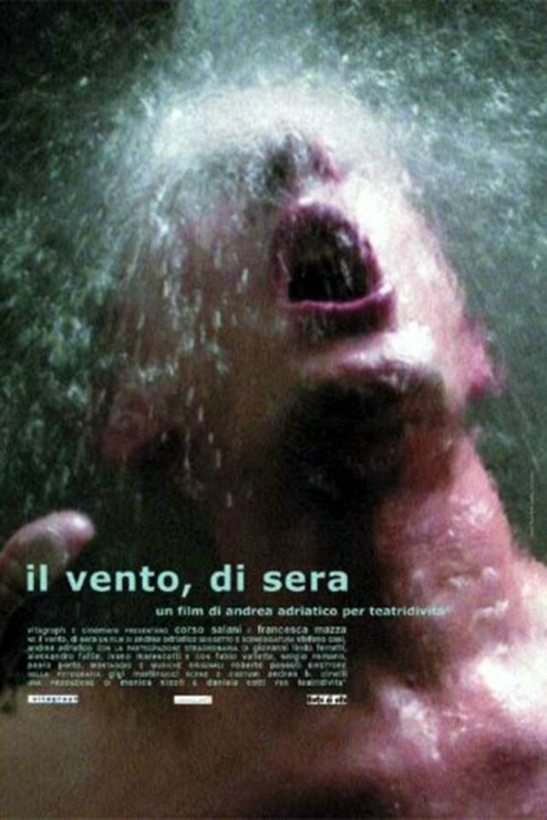 Постер фильма Il vento, di sera