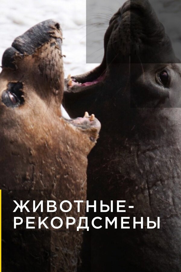 Постер сериала Животные-рекордсмены