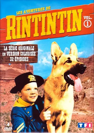 Постер Приключения Рин Тин Тина (1954)