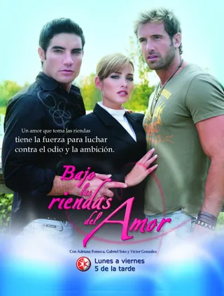 Постер Под вожжами любви (2007)
