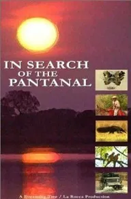 In Search of the Pantanal