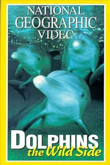 Постер фильма Dolphins: The Wild Side