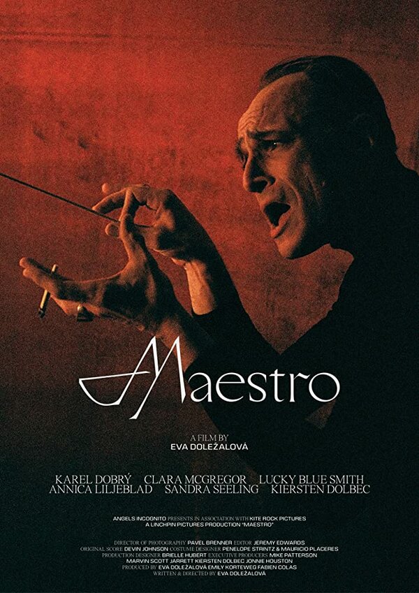 Постер фильма Maestro
