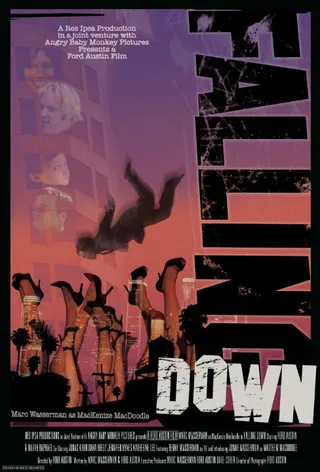 Постер Falling Down (2010)