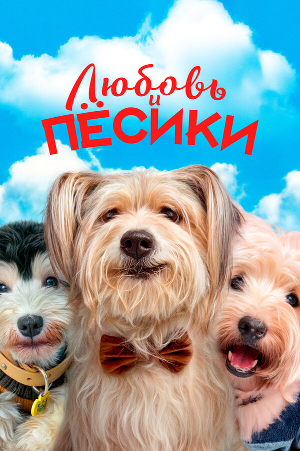 Постер фильма Любовь и пёсики